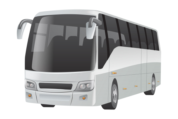 bus bus